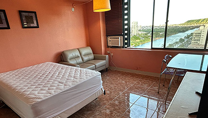 Hawaiian Monarch #1508 | ハワイアンモナーク#1508